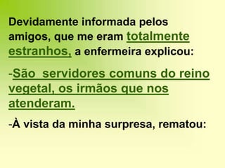 Devidamente informada pelos amigos, que me eram totalmente estranhos, a enfermeira explicou:São  servidores comuns do reino vegetal, os irmãos que nos atenderam. 