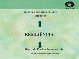   RESILIÊNCIA Risco de Perdas Irreversíveis (Potencialmente Catastróficas) Reações não-lineares aos impactos 