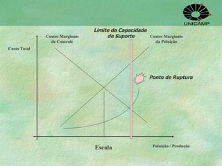 Custo Total Custos Marginais de Controle Custos Marginais da Poluição Poluição / Produção Escala Ponto de Ruptura Limite da Capacidade  de Suporte 
