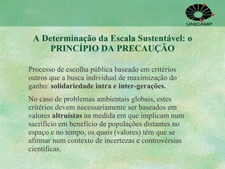 A Determinação da Escala Sustentável: o PRINCÍPIO DA PRECAUÇÃO Processo de escolha pública baseado em critérios outros que a busca individual de maximização do ganho:  solidariedade   intra e inter-gerações.   No caso de problemas ambientais globais, estes critérios devem necessariamente ser baseados em valores  altruístas  na medida em que implicam num sacrifício em benefício de populações distantes no espaço e no tempo, os quais (valores) têm que se afirmar num contexto de incertezas e controvérsias científicas.  