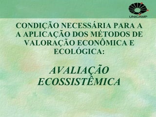 CONDIÇÃO NECESSÁRIA PARA A A APLICAÇÃO DOS MÉTODOS DE VALORAÇÃO ECONÔMICA E ECOLÓGICA: AVALIAÇÃO ECOSSISTÊMICA 