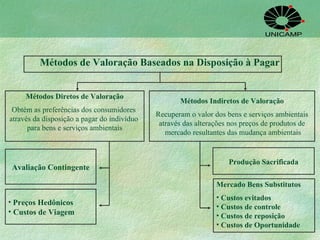 Métodos de Valoração Baseados na Disposição à Pagar Métodos Indiretos de Valoração Recuperam o valor dos bens e serviços ambientais através das alterações nos preços de produtos de mercado resultantes das mudança ambientais Avaliação Contingente Preços Hedônicos Custos de Viagem Mercado Bens Substitutos Custos evitados Custos de controle Custos de reposição Custos de Oportunidade Produção Sacrificada Métodos Diretos de Valoração Obtém as preferências dos consumidores  através da disposição a pagar do indivíduo  para bens e serviços ambientai s 