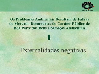 Os Problemas Ambientais Resultam de Falhas de Mercado Decorrentes do Caráter Público de Boa Parte dos Bens e Serviços Ambientais Externalidades negativas 