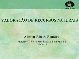 VALORAÇÃO DE RECURSOS NATURAIS Ademar Ribeiro Romeiro Professor Titular do Instituto de Economia da UNICAMP 