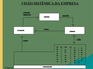 VISÃO SISTÊMICA DA EMPRESA   