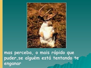 mas perceba, o mais rápido que puder,se alguém está tentando te enganar  