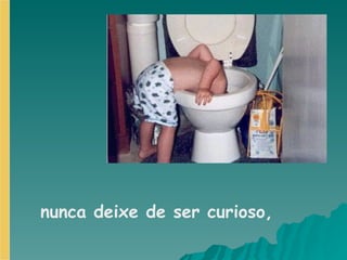 nunca deixe de ser curioso, 