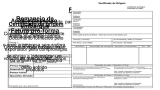 Fatura
Representa a venda para clientes em território nacional
Fatura pró-forma
Documento que indica o valor
da mercadoria
Romaneio de
embarque
Indica que a mercadoria
contém mais do que um
volume ou que contém vários
produtos
Apólice de seguro
Contrato de seguro mediante
o qual, a empresa seguradora
se obriga a indemnizar um
dano sofrido
Certificado de origem
Documento fornecido pelo
exportador para comprovação
da origem da mercadoria
 
