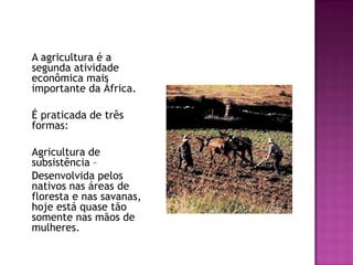 	A agricultura é a segunda atividade econômica mais importante da África.	É praticada de três formas:	Agricultura de subsistência – 	Desenvolvida pelos nativos nas áreas de floresta e nas savanas, hoje está quase tão somente nas mãos de mulheres. 