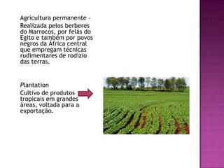 	Agricultura permanente –	Realizada pelos berberes do Marrocos, por felás do Egito e também por povos negros da África central que empregam técnicas rudimentares de rodízio das terras.Plantation	Cultivo de produtos tropicais em grandes áreas, voltada para a exportação.