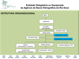ESTRUTURA ORGANIZACIONAL Conselho  Administrativo Conselho Fiscal Diretor Geral Assessoria Jurídica Assessoria de Comunicação Secretaria Geral Diretor Administrativo -Financeiro Escritório Regional - ES Diretor Técnico Coordenador  Técnico CBH’s Coordenador Administrativo -Financeiro AGB Doce  