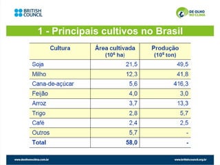 1 - Principais cultivos no Brasil
 