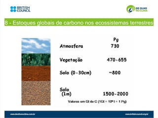 8 - Estoques globais de carbono nos ecossistemas terrestres
 