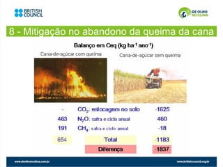 8 - Mitigação no abandono da queima da cana
 