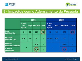 8 - Impactos com o Adensamento da Pecuária
 