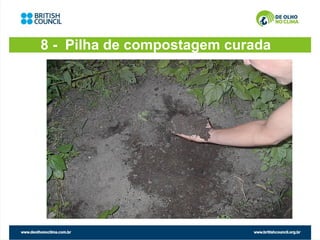 8 - Pilha de compostagem curada
 