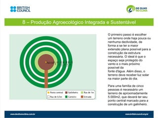 8 – Produção Agroecológico Integrada e Sustentável

                                     O primeiro passo é escolher
                                     um terreno onde haja pouca ou
                                     nenhuma declividade, de
                                     forma a se ter a maior
                                     extensão plana possível para a
                                     construção da estrutura
                                     necessária. O ideal é que o
                                     espaço seja protegido do
                                     vento e o mais próximo
                                     possível da
                                     fonte d'água. Além disso, o
                                     terreno deve receber luz solar
                                     na maior parte do dia.

                                     Para uma família de cinco
                                     pessoas é necessário um
                                     terreno de aproximadamente
                                     5.000m2, que deverá ter seu
                                     ponto central marcado para a
                                     construção de um galinheiro.
 