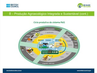8 – Produção Agroecológico Integrada e Sustentável (cont.)
 