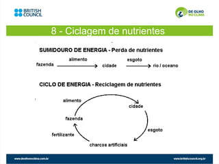 8 - Ciclagem de nutrientes
 
