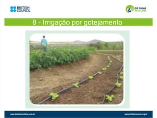 8 - Irrigação por gotejamento
 