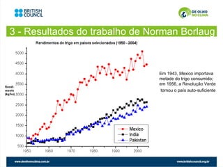 3 - Resultados do trabalho de Norman Borlaug



                                Em 1943, Mexico importava
                                metade do trigo consumido;
                                em 1956, a Revolução Verde
                                 tornou o país auto-suficiente
 