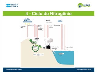 4 - Ciclo do Nitrogênio
 