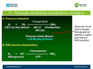 4 – Produção de Amônia (industrial vs. biológica)


                                          Cerca de 1% de
                                          toda a energia
                                          final gerada no
                                          planeta é usada
                                          para fabricar
                                          NH3 (amônia)
 