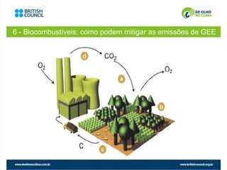6 - Biocombustíveis: como podem mitigar as emissões de GEE
 