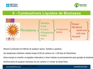 6 - Combustíveis Líquidos de Biomassa




•Etanol é produzido há milênios de qualquer açúcar. Substitui a gasolina.

•As oleaginosas sintetizam cadeias longas (C18) de carbono em >120 dias de fotossíntese.

•Essa energia se mantém via ligações moleculares e ficam intactas no processamento para geração de biodiesel

•Synfuel parte de qualquer biomassa rica em carbono e é similar ao diesel fóssil.

•Biodiesel”e “synfuel” substituem o diesel.
 