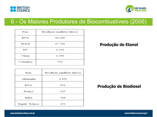 6 - Os Maiores Produtores de Biocombustíveis (2006)



                                 Produção de Etanol




                                Produção de Biodiesel
 