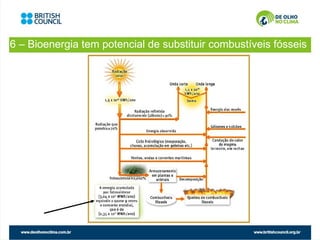 6 – Bioenergia tem potencial de substituir combustíveis fósseis
 