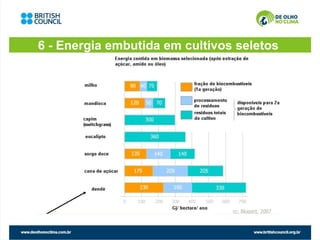 6 - Energia embutida em cultivos seletos
 
