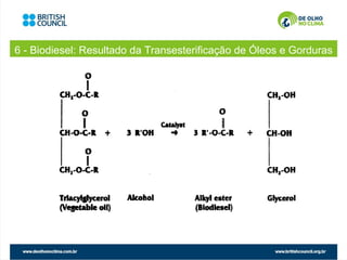 6 - Biodiesel: Resultado da Transesterificação de Óleos e Gorduras
 