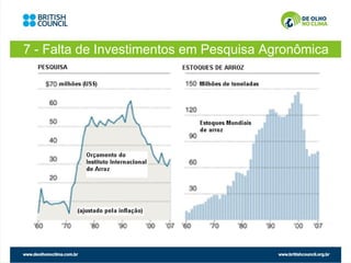 7 - Falta de Investimentos em Pesquisa Agronômica
 