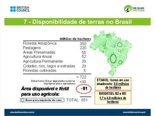 7 - Disponibilidade de terras no Brasil
 