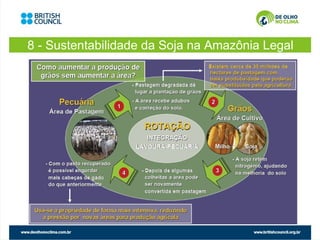 8 - Sustentabilidade da Soja na Amazônia Legal
 