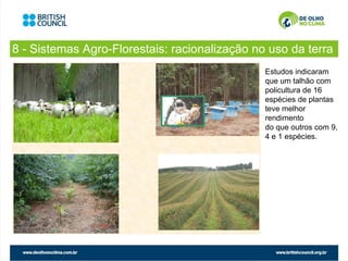 8 - Sistemas Agro-Florestais: racionalização no uso da terra
                                               Estudos indicaram
                                               que um talhão com
                                               policultura de 16
                                               espécies de plantas
                                               teve melhor
                                               rendimento
                                               do que outros com 9,
                                               4 e 1 espécies.
 