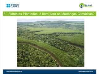 8 - Florestas Plantadas: é bom para as Mudanças Climáticas?
 