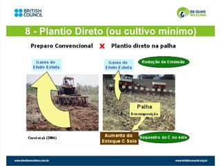 8 - Plantio Direto (ou cultivo mínimo)
 