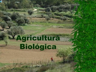 Agricultura
 Biológica
 