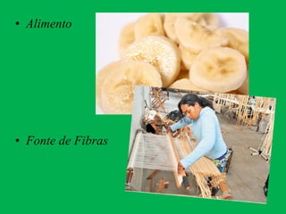 • Alimento
• Fonte de Fibras
 