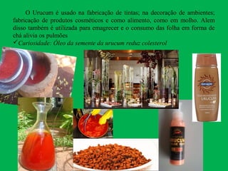 O Urucum é usado na fabricação de tintas; na decoração de ambientes;
fabricação de produtos cosméticos e como alimento, como em molho. Alem
disso também é utilizada para emagrecer e o consumo das folha em forma de
chá alivia os pulmões
Curiosidade: Óleo da semente da urucum reduz colesterol
 