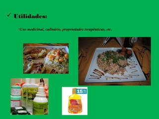  Utilidades:
•Uso medicinal, culinário, propriedades terapêuticas, etc.
 