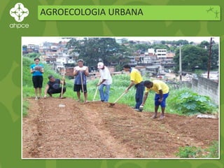 AGROECOLOGIA URBANA
 