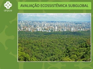 AVALIAÇÃO ECOSSISTÊMICA SUBGLOBAL
 