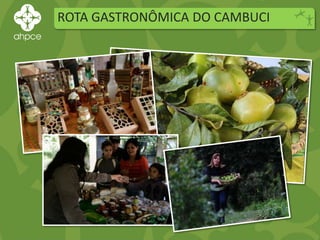 ROTA GASTRONÔMICA DO CAMBUCI
 