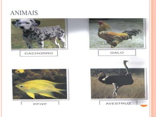 ApresentaçãO Ahtange