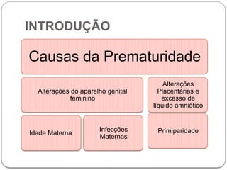 INTRODUÇÃO
Causas da Prematuridade
Alterações do aparelho genital
feminino
Idade Materna
Infecções
Maternas
Alterações
Placentárias e
excesso de
líquido amniótico
Primiparidade
 