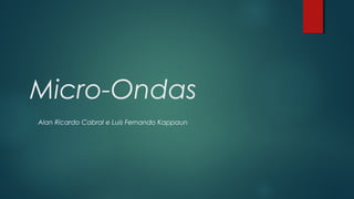 Micro-Ondas 
Alan Ricardo Cabral e Luis Fernando Kappaun 
 