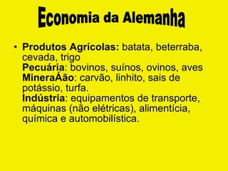 Produtos Agrícolas:  batata, beterraba, cevada, trigo Pecuária : bovinos, suínos, ovinos, aves Mineração : carvão, linhito, sais de potássio, turfa. Indústria : equipamentos de transporte, máquinas (não elétricas), alimentícia, química e automobilística. Economia da Alemanha 
